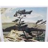 Image 2 : LIMITED PRINT 'WHITE PINE' (BY AJ CASSON) *81/77* (23" X 18.5")