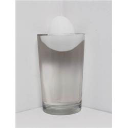 RIVANE NEUENSCHWANDER     (b. 1967)     MISUNDERTANDING     egg, sand, adhesive tape, water and glas