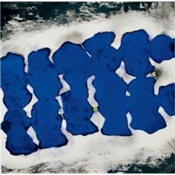DONALD SULTAN     (b. 1951)     BLUE FLOWERS     color screenprint on paper     23 x 22 in. (58.4 x 