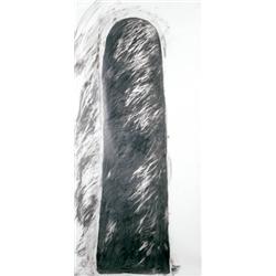 PETER SHELTON     (b. 1951)     BBELL     graphite on mylar     81 x 41 in. (205.7 x 104.1 cm)     e