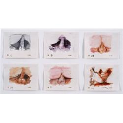 CECILY BROWN     (b. 1969)     UNTITLED (six works)     pastel, graphite and watercolor on paper in 