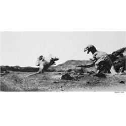 VARIOUS ARTISTS     SCREEN     a group portfolio of 11 screenprints      by 12 artists: Darren Almon