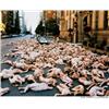 Image 1 : SPENCER TUNICK     (b. 1967)     untitled (TWO WORKS)     each signed “Spencer Tunick” on the revers