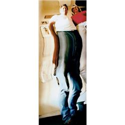 JOHN CHAMBERLAIN     (b. 1927)     GEORGE AND WINETTE     unique wide lux photograph     41 1/2 x 19