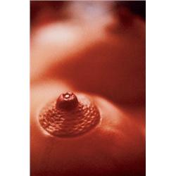 CINDY SHERMAN     (b. 1954)     NIPPLE     signed, numbered of 100 and dated      “Cindy Sherman 199
