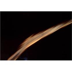 ANDRES SERRANO     (b. 1950)     UNTITLED VII (EJACULATE IN TRAJECTORY)     Cibachrome with silicone