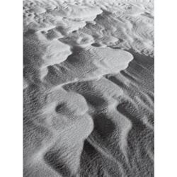 ALFRED ERHARDT     (1901-1984)     UNTITLED     gelatin silver print     9 x 6 7/8 in. (22.9 x 17.5 