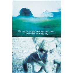 PIPILOTTI RIST     (b. 1962)     WE WERE TAUGHT     signed “Pipilotti Rist” on a label adhered to th