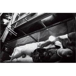 ZOE LEONARD     (b. 1961)     WAX ANATOMICAL MODEL      (ShOT CROOKED FROM ABOVE)     titled, number