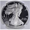 Image 2 : 2014 W AMERICAN SILVER EAGLE  NGC PF 70
