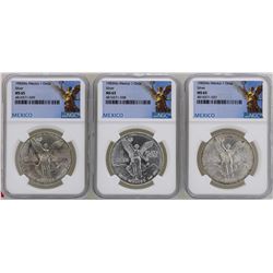 Lot of (3) 1983Mo Mexico Libertad Onza Silver Coins NGC MS65
