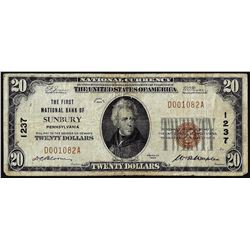 1929 $20 Sunbury, PA CH# 1237 National Currency Note