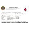 Image 2 : APP: 1.3k Fine Jewerly 4.00CT Oval Cut Ruby And White Sapphire Sterling Silver Pendant
