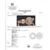 Image 2 : APP: 5k *Fine Jewelry 14KT Rose Gold, 0.91CT Round Brilliant Cut Diamond Ring (VGN A-201) (Vault V)