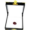 Image 2 : APP: 3.1k 12.58CT Oval Cut Ruby Gemstone