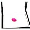 Image 2 : APP: 3.1k 5.33CT Oval Cut Ruby Gemstone