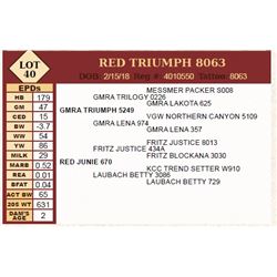 Lot - 40 - RED TRIUMPH 8063