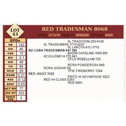 Lot - 43 - RED TRADESMAN 8068