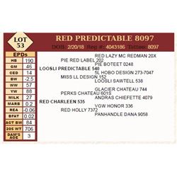 Lot - 53 - RED PREDICTABLE 8097