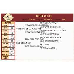 Lot - 64 - RED 8152