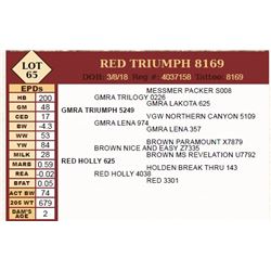 Lot - 65 - RED TRIUMPH 8169