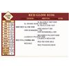 Image 1 : Lot - 70 - RED GLOW 8196