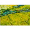 Image 5 : Gouache Board Landscape Style of Vincent Van Gogh