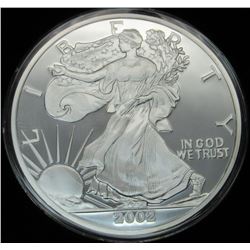 12 OZT .999 PURE SILVER ROUND IN CAPSULE