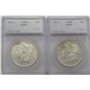 Image 1 : 2- DMPL SEGS GRADED MORGANS