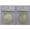 Image 3 : 2- DMPL SEGS GRADED MORGANS