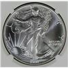 Image 2 : 1991 AMERICAN SILVER EAGLE NGC MS 69