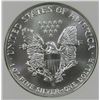 Image 3 : 1993 AMERICAN SILVER EAGLE NGC MS 69