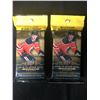 Image 1 : 2018-2019 Upper Deck Hockey Series One 32 Card Fat Packs