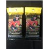 Image 1 : 2018-2019 Upper Deck Hockey Series One 32 Card Fat Packs