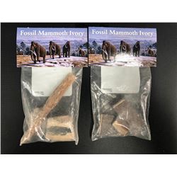 FOSSIL MAMMOTH IVORY LOT