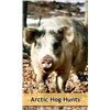 Image 3 : ARCTIC HOGS FOR 4 HUNTERS | Hidden Horns Game Ranch - Howard City, MI