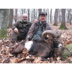 SIX DAYS HUNTING AND TOURING IN SERBIA | with Safari Art for Mouflon Sheep