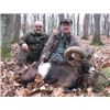 Image 1 : SIX DAYS HUNTING AND TOURING IN SERBIA | with Safari Art for Mouflon Sheep