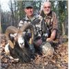 Image 3 : SIX DAYS HUNTING AND TOURING IN SERBIA | with Safari Art for Mouflon Sheep