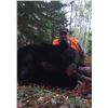 Image 4 : MICHIGAN BLACK BEAR HUNT - Wild Spirit Guide Service