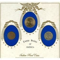 USA Indian head coins in special holder