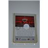 Image 2 : 2012-13 Upper Deck #227 Jason Zucker YG RC
