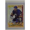 Image 1 : 1994-95 OPC Premier Special Effects #152 Dominik Hasek