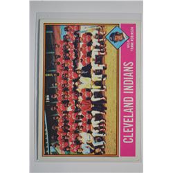 1976 Topps - Baseball