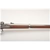 Image 9 : 18RO-1 SPRINGFIELD 1861