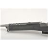 Image 5 : 19AK-2 RUGER RANCH RIFLE #58300584