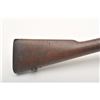Image 8 : 19AP- 1 SPRINGFIELD 1903 #68446