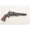 Image 8 : 19BW-3 COLT ROOT #5526