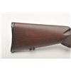 Image 8 : 19AA-98 SPRINGFIELD MDL 1903 #1273561