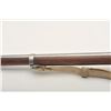 Image 6 : 19AE-16 FL MUSKET